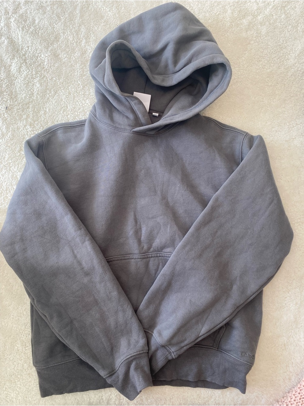 Grey Aritzia Hoodie